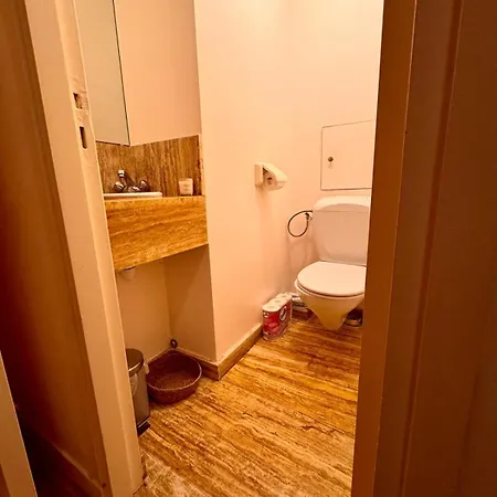 Charming Flat Beside Champs-elysees * 巴黎